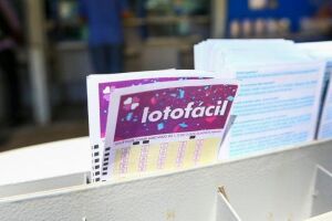 Lotof&aacute;cil 3.782: pr&ecirc;mio de R$ 3.876.827,04