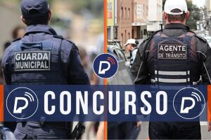 Guarda Municipal e Agente de Tr&acirc;nsito. 