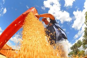 Petrolina &eacute; eleita a melhor cidade para o agroneg&oacute;cio. 