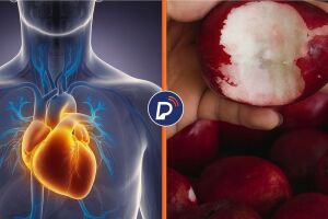 Benef&iacute;cios do jambo para a sa&uacute;de cardiovascular