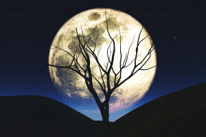 A Lua Cheia de dezembro de 2025 ilumina o c&eacute;u noturno, momento ideal para observa&ccedil;&atilde;o a olho nu ou com telesc&oacute;pio.