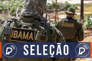 Sele&ccedil;&atilde;o IBAMA. 