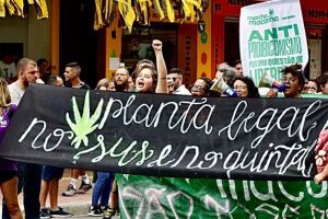 STF aprova marcha da maconha