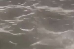 Mar da praia de Pau Amarelo, em Paulista, onde v&iacute;tima foi encontrada boiando.