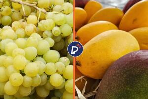 As estrelas do Sert&atilde;o Pernambucano.