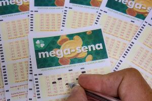 Cartelas da Mega-Sena marcadas.