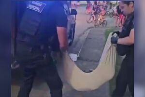 Cachorro n&atilde;o sobreviveu a queda.