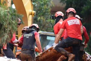 Bombeiros durante resgates em Minas Gerais.