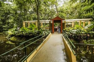 Jardim Bot&acirc;nico. 