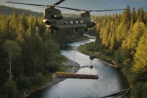 Helic&oacute;pteros lan&ccedil;am troncos em rios em projeto de restaura&ccedil;&atilde;o ambiental. 