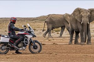 Multistrada V4 Rally