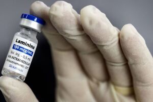 Polilaminina: cientistas pedem cautela sobre mol&eacute;cula testada no tratamento de les&otilde;es medulares