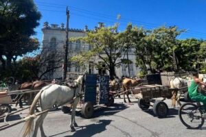 Carroceiros protestando no Centro do Recife.