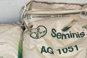 Prefeitura de Abreu e Lima come&ccedil;a a distribui&ccedil;&atilde;o das sementes de milho e adubo.