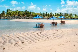 Praia de Maraca&iacute;pe 