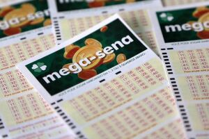 Cartelas da Mega-Sena juntas.