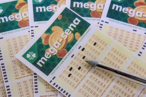 Cartelas da Mega-Sena marcadas.