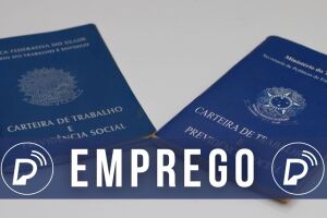 Do total das vagas, 24 oportunidades s&atilde;o exclusivamente para PCD.