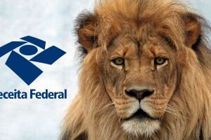 Imposto de Renda IRPF 