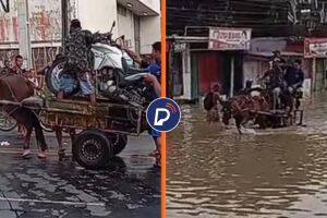 Cavalo puxa carro&ccedil;a para transportar moto em alagamento no Recife ap&oacute;s fortes chuvas.