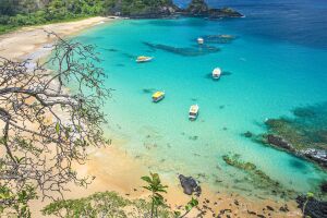 Local &eacute; para&iacute;so restrito no territ&oacute;rio pernambucano.