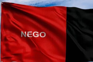 Bandeira da Para&iacute;ba.