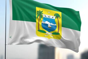 Bandeira do Rio Grande do Norte.