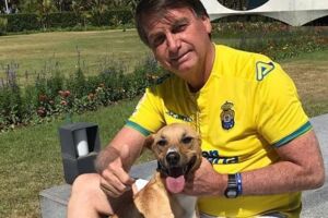 Cachorro caramelo de Bolsonaro morde policiais militares durante ronda de pris&atilde;o domiciliar