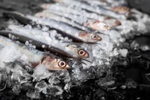 Anvisa determina recolhimento de sardinha congelada por contamina&ccedil;&atilde;o por Salmonella