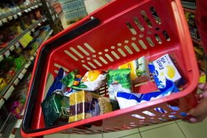 Cesta b&aacute;sica.