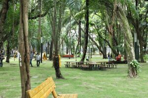 Concerto no Parque da Tamarineira, no Recife.