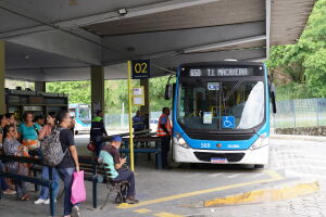 Transporte p&uacute;blico de gra&ccedil;a na RMR