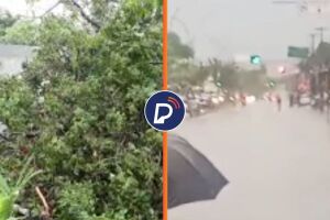 Preju&iacute;zos no munic&iacute;pio do Paulista. 