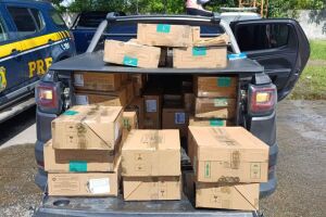 Carga de cosm&eacute;ticos e produtos de perfumaria.