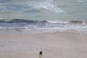 Ag&ecirc;ncia Pernambucana de Meio Ambiente (CPRH). 