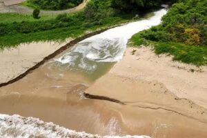 Mangue em Fernando de Noronha.
