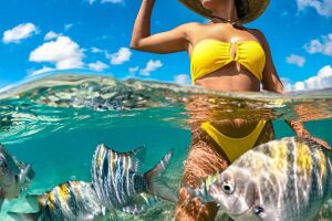 &Aacute;guas cristlnas e arrecifes encantam visitantes.