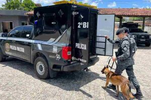 Viatura especializada para transporte de c&atilde;es