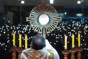 Cresce o n&uacute;mero de cat&oacute;licos no mundo, apontam estat&iacute;sticas da Igreja