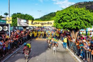 Festival de Jericos de Panelas 