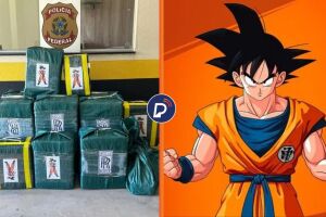 PF apreende mais de meia tonelada de coca&iacute;na com embalagem do personagem Goku