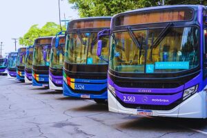 &Ocirc;nibus.