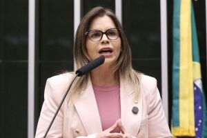 Clarissa T&eacute;rcio, deputada federal
