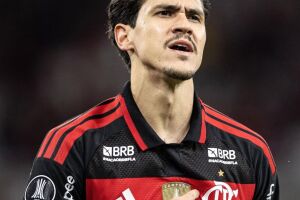 Flamengo tenta se recuperar ap&oacute;s derrota dolorida para o Palmeiras.