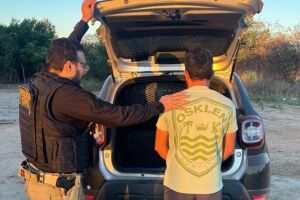 Pol&iacute;cia Civil de Pernambuco na Opera&ccedil;&atilde;o Impacto. 