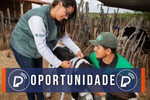 Senar m&eacute;dico veterin&aacute;rio.