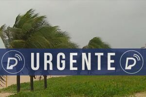 Ventania em praia.