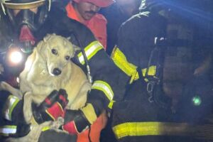 O Corpo de Bombeiros Militar de Pernambuco (CBMPE) foi acionado para atender a ocorr&ecirc;ncia. 