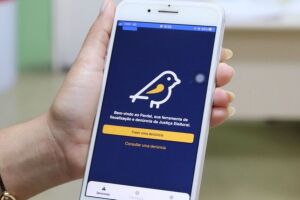 Pernambuco &eacute; o segundo estado no Brasil com mais den&uacute;ncias de propaganda eleitoral irregular 