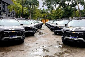Pol&iacute;cia Civil de PE ganha 24 novas viaturas SUV com investimento de R$ 1,7 milh&atilde;o da SDS